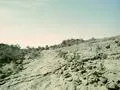 The terrain