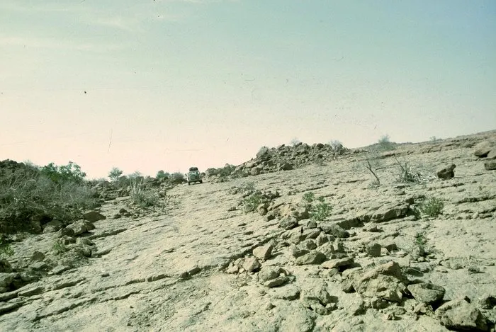 The terrain