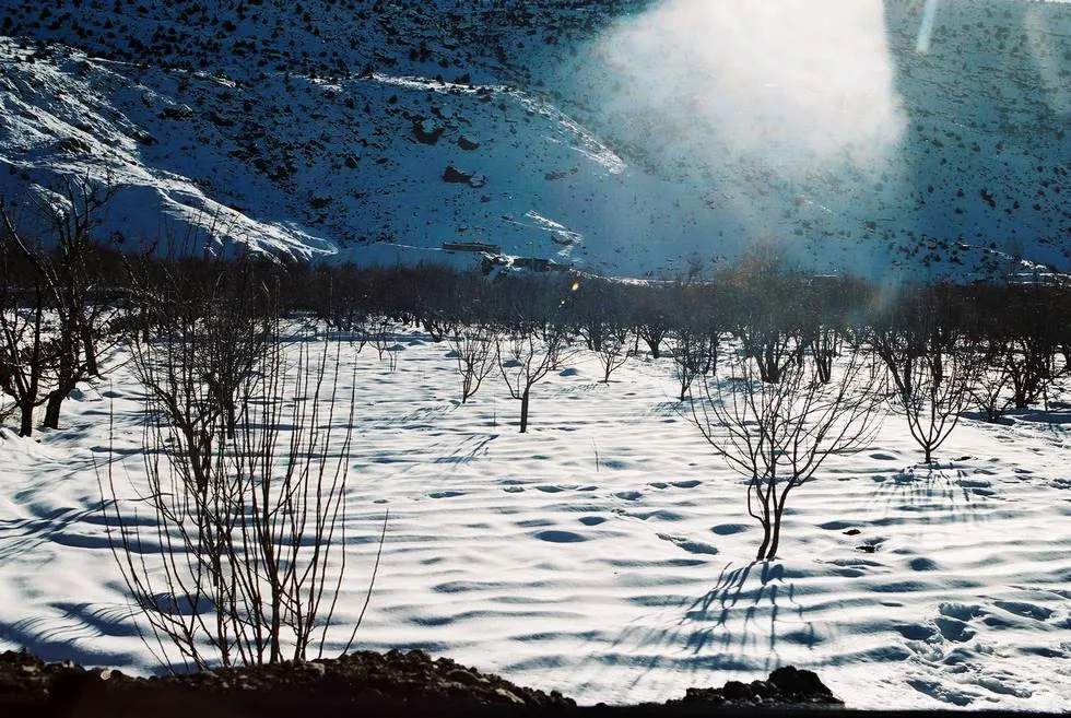 Snow Covered Field