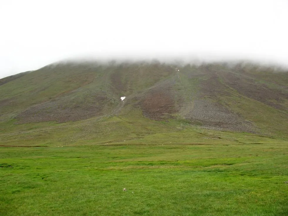 The amazingly green Deosai plain
