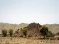 Fossilized Hill