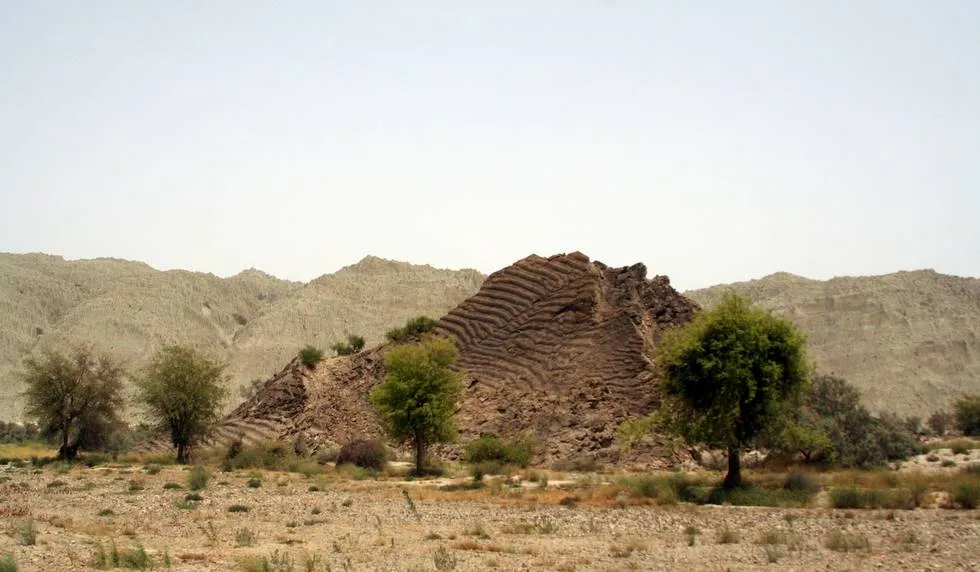 Fossilized Hill