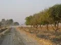 Approaching the Farm