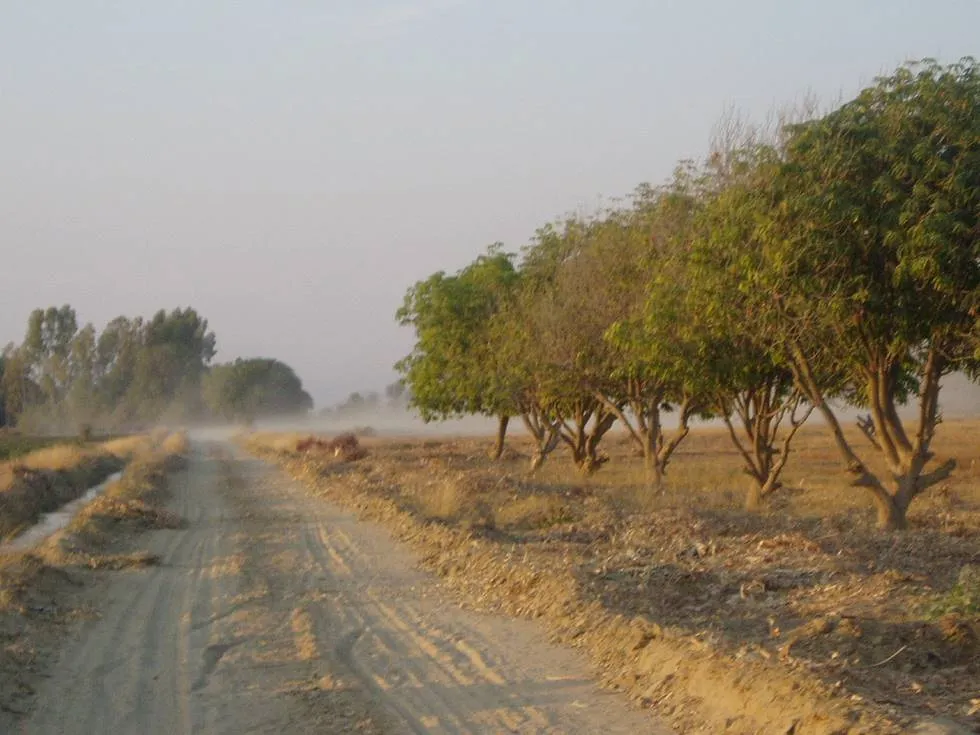 Approaching the Farm