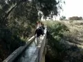 A water bridge