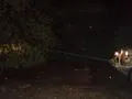 Winching a Tree