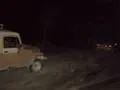 Late night rescue