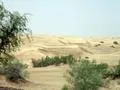 Thar Desert 4
