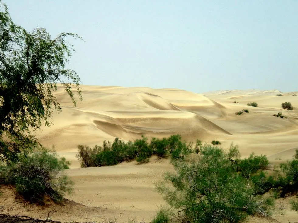 Thar Desert 4