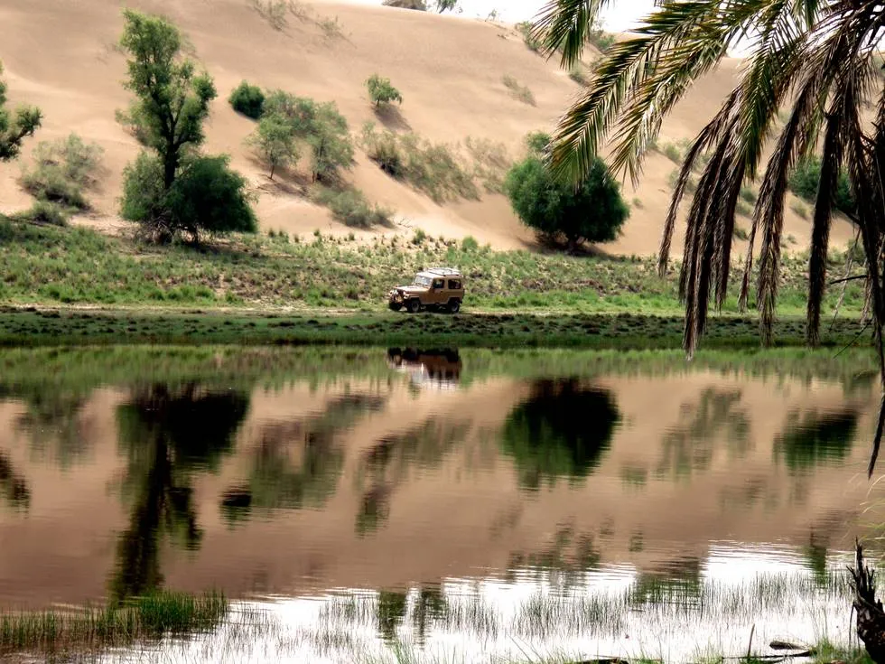 CJ7 driving past an oasis