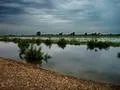 Flooded Fields