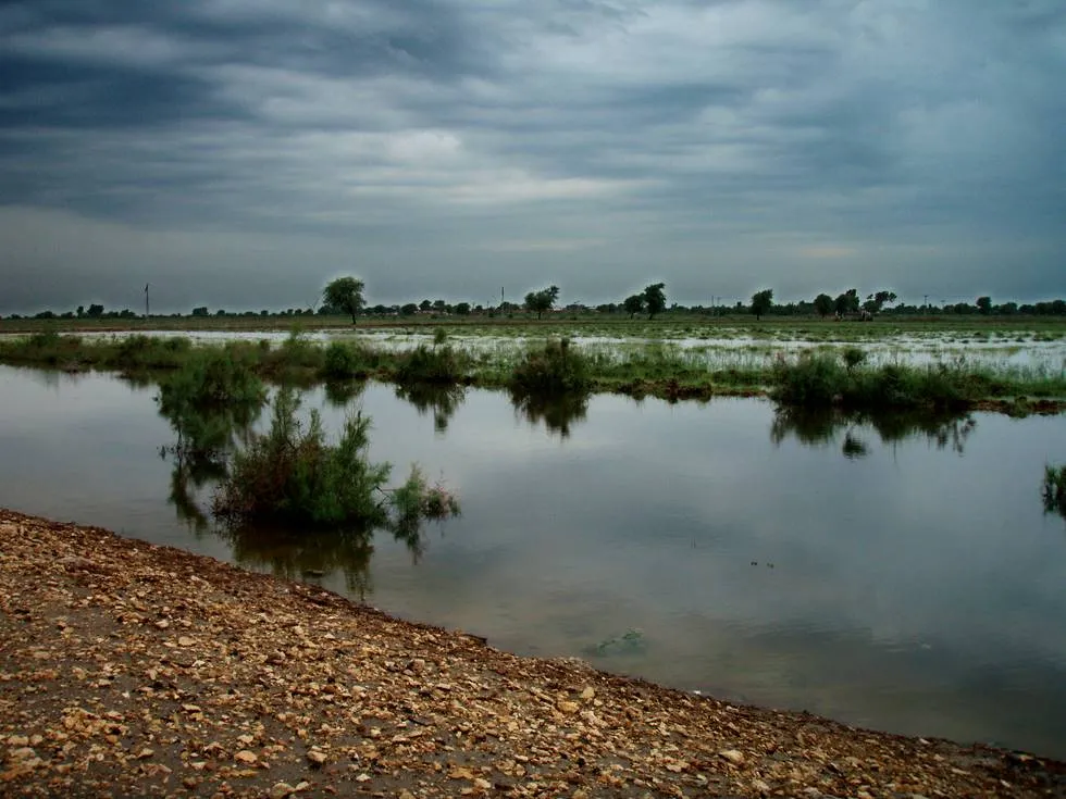 Flooded Fields