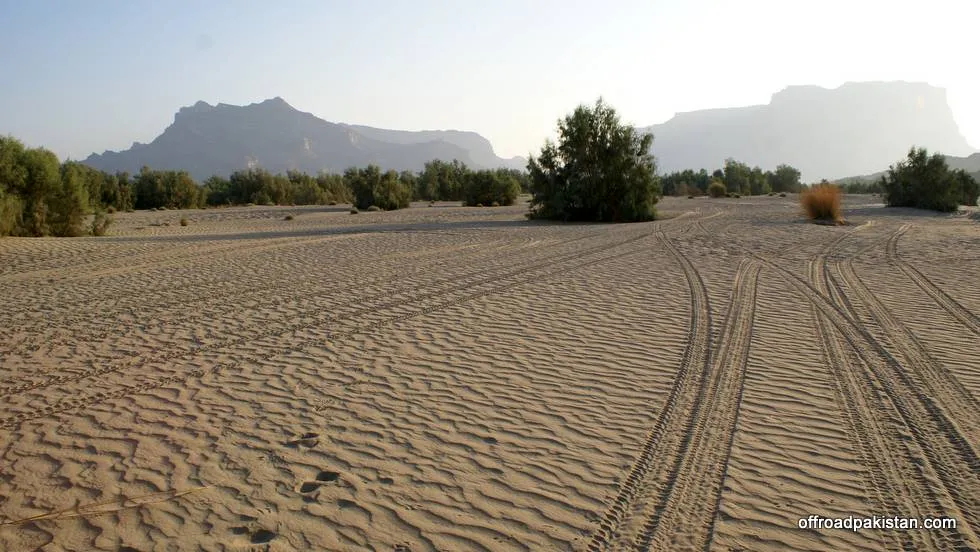 Tire treads of our jeeps. Plenty of animal footprints can be spotted too.