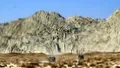 The mud mountains.