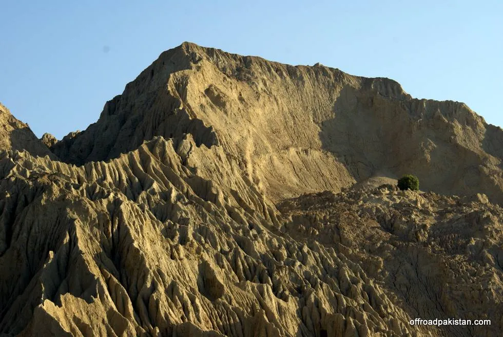 A lone tree on the mountainside.