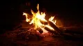 Fire. Campfire.