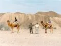 Doc | Yaseen | Camels