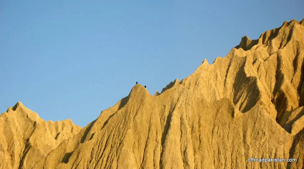 Crows on a mud mountaine under a blue sky