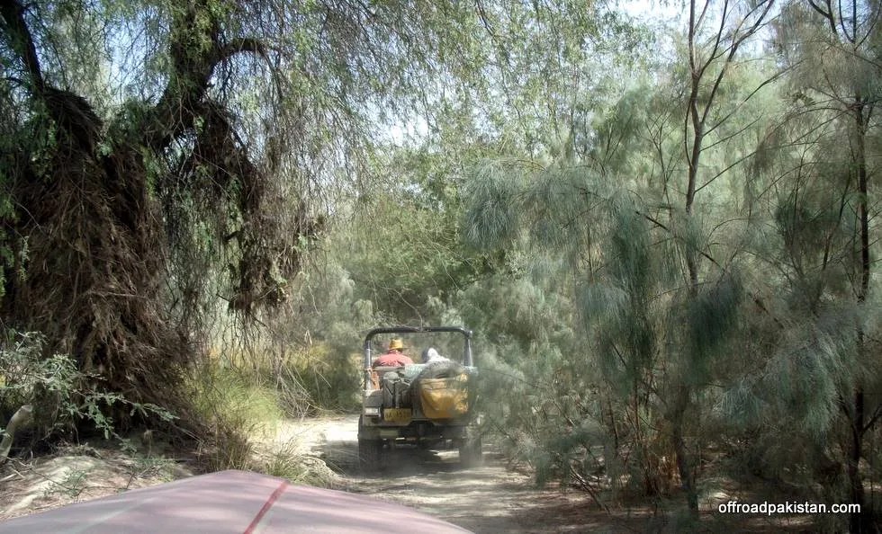 On our way to  Hingol Bridge - passing through the forest again