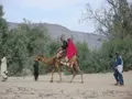 Newly married couple going home