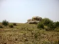 Look at the left side of this stone - looks like a turtle!