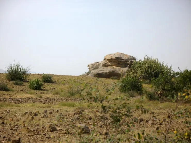 Look at the left side of this stone - looks like a turtle!