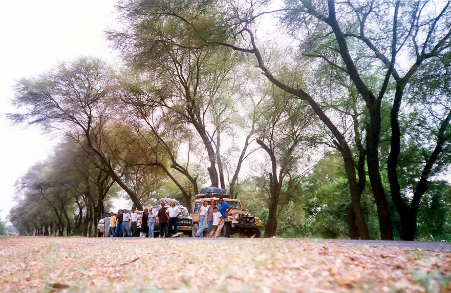 Group Photo on Road