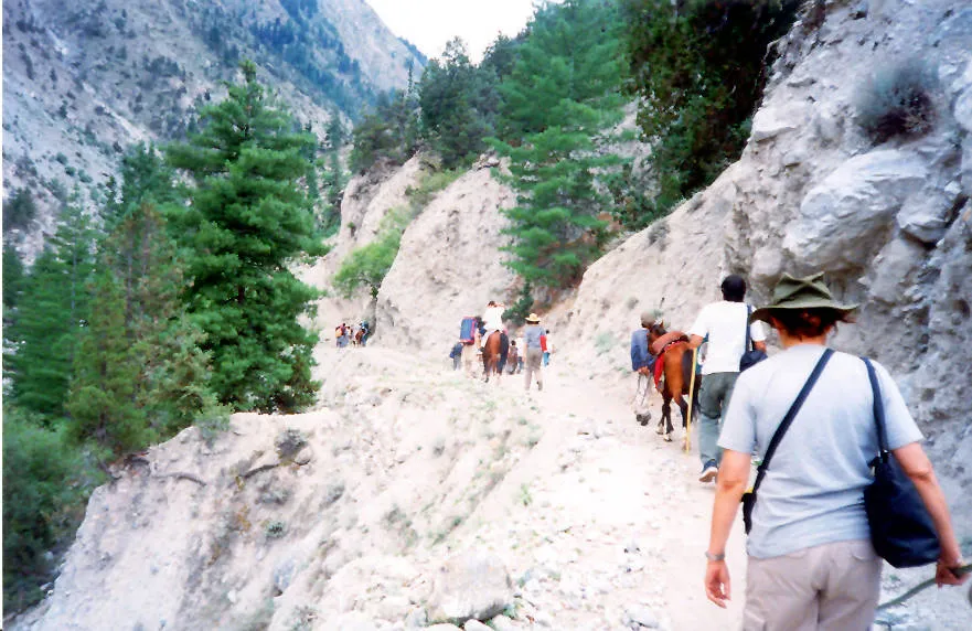 Fairy Meadows trail
