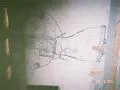 Woman on a Wall
