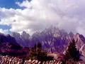 Cathederal Peaks