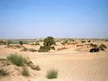 Desert panorama