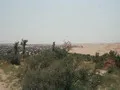Let the dunes begin