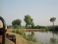 Nara Canal