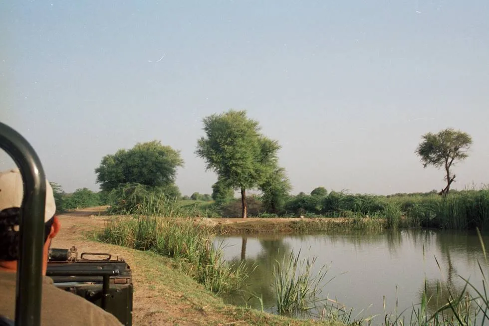Nara Canal
