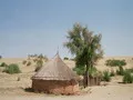 Local Dwelling