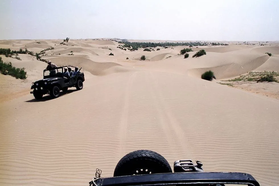 Into the Desert