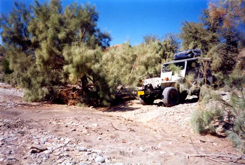 White Jeep