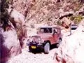 Salman CJ7